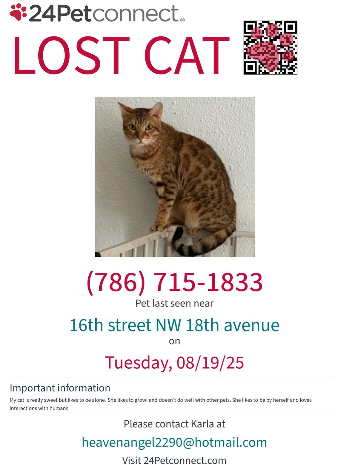 Please Help Find Savannah! (Lost Bengal)